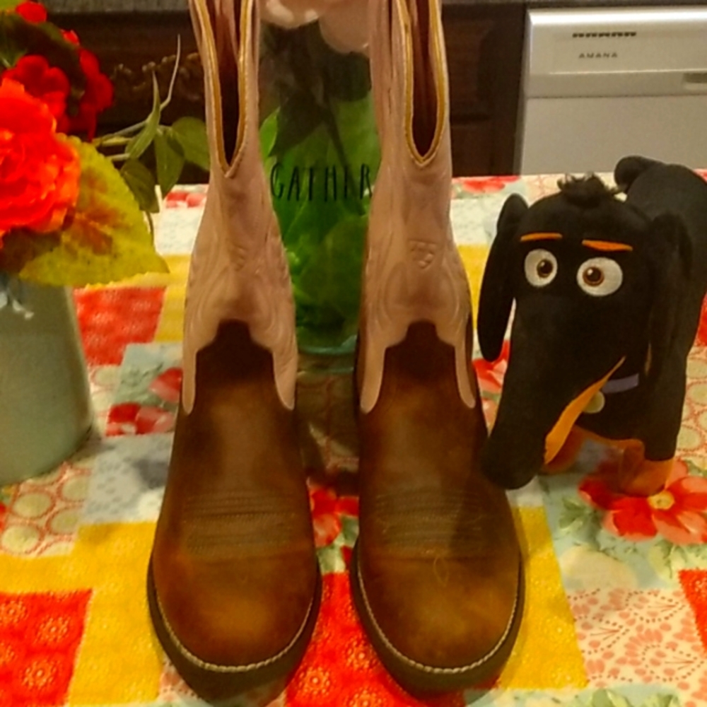 NWOT WOMENS ARIAT BOOTS